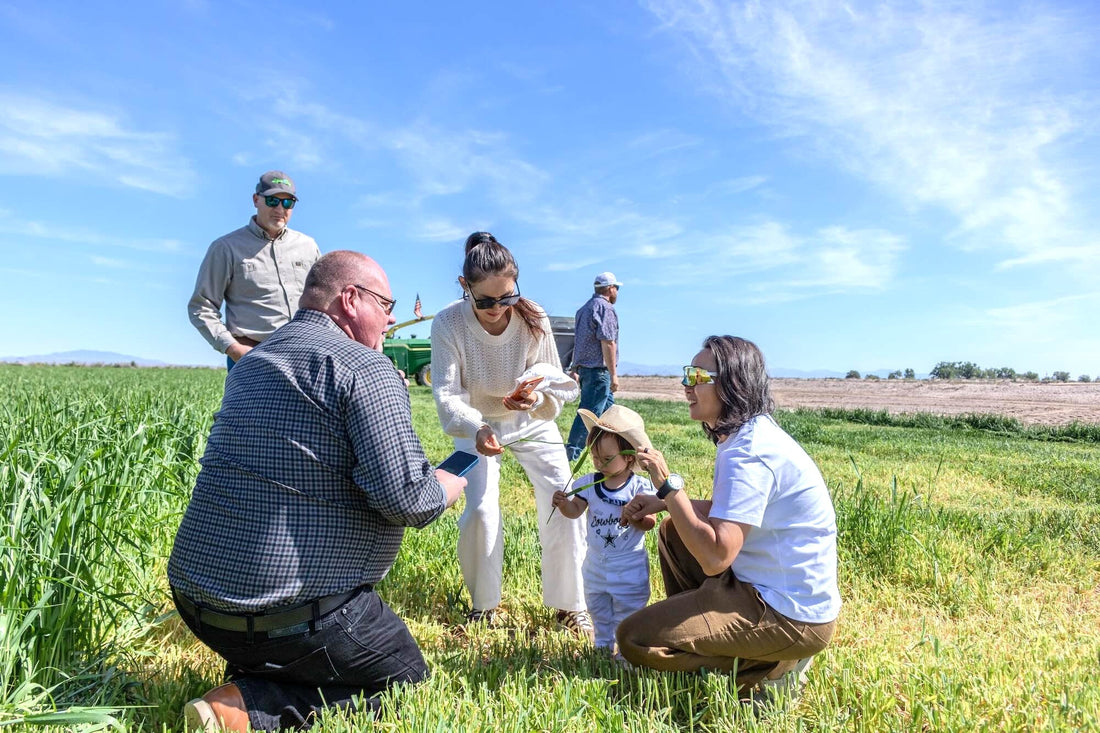 Why Visiting the Barley Fields Matter